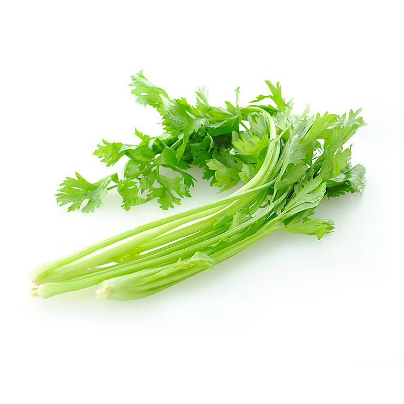 セロリ 500g