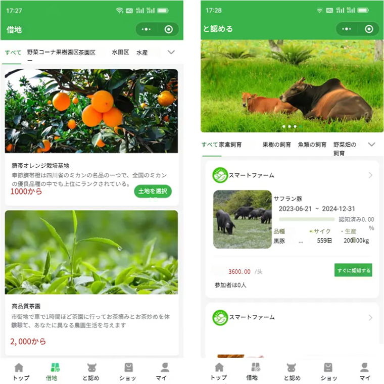LINEサービス画面イメージ
